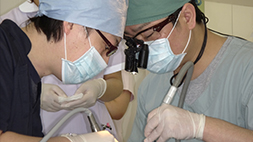 せきね歯科院長 診療中